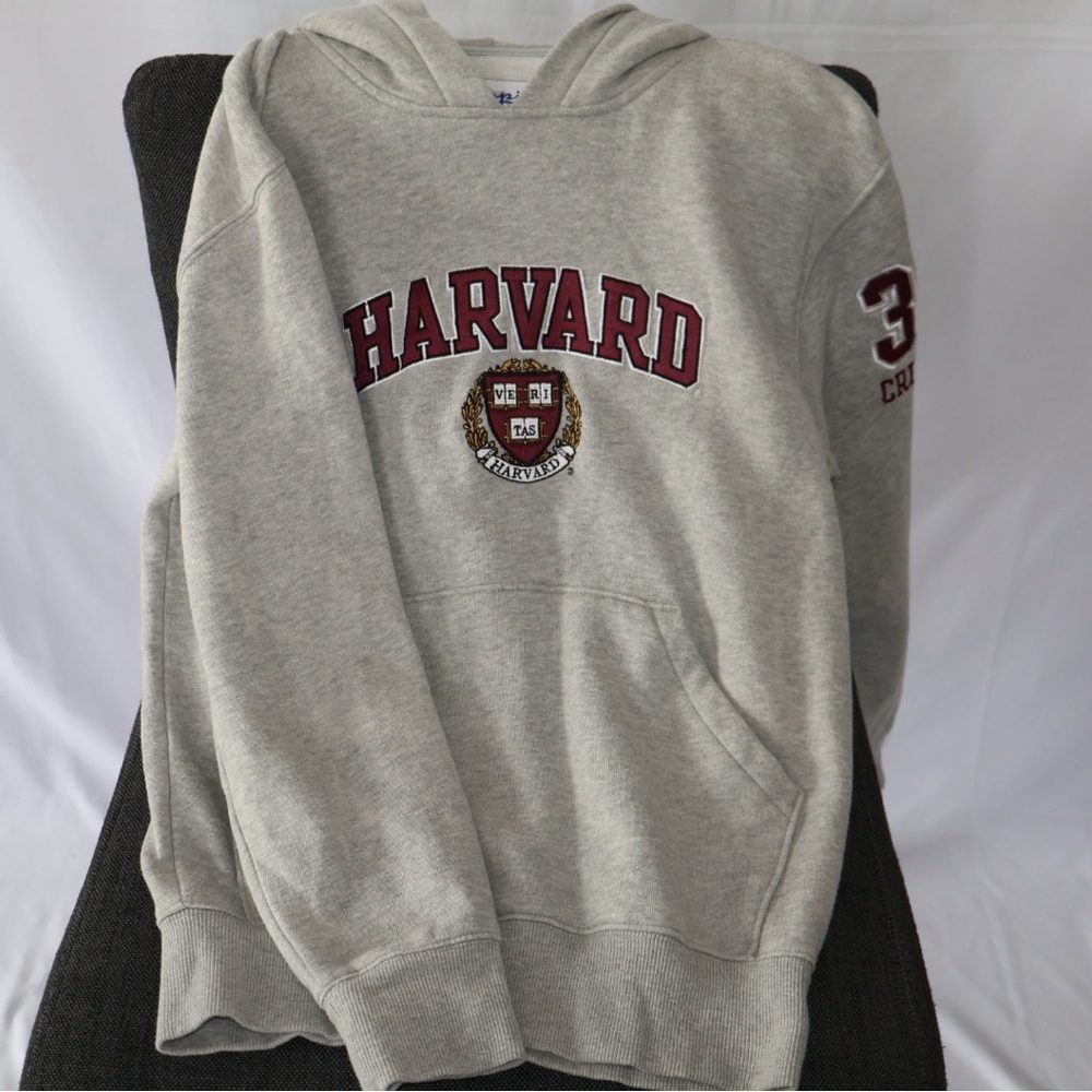 Champion Gray Collegiate Sweater